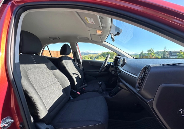 Kia Picanto cena 42900 przebieg: 35100, rok produkcji 2019 z Kraków małe 529